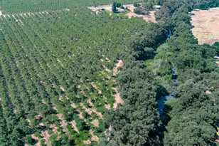 9337 Creekside Ln, Modesto, CA 95357 - Photo 30