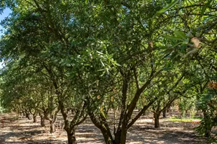 9337 Creekside Ln, Modesto, CA 95357 - Photo 26