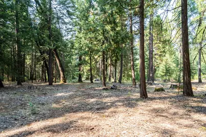 13518 Quaker Hill Cross Road, Nevada City, CA 95959 - Photo 20
