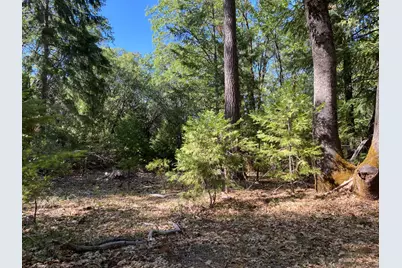 12595 Blackberry Trail, Grass Valley, CA 95945 - Photo 4