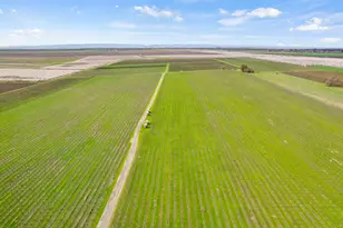 0 S River Rd, Clarksburg, CA 95612 - Photo 2