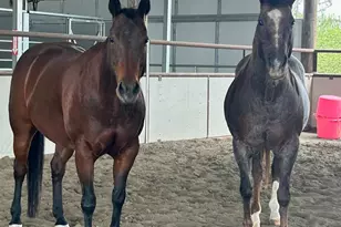 24130 Co Rd 101A, Davis, CA 95616 - Photo 64