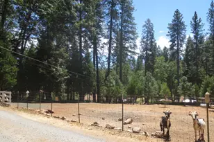 606 Glenwood Rd, Grass Valley, CA 95945 - Photo 1