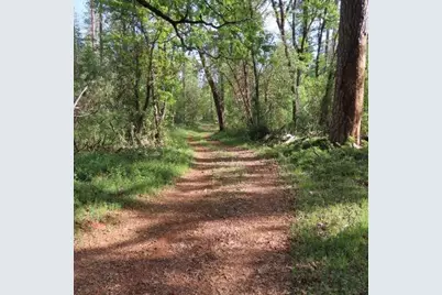 0 Spring Garden Road, Foresthill, CA 95631 - Photo 10