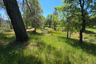 5963 Schilling Rd, Coulterville, CA 95311 - Photo 80