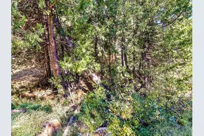 13651 Us-50, Kyburz, CA 95720 - Photo 28