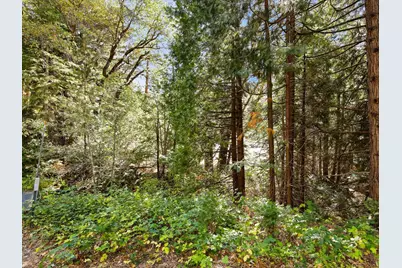 13651 Us-50, Kyburz, CA 95720 - Photo 24