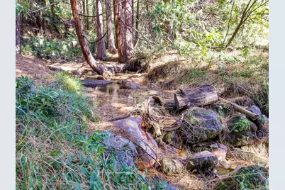 13651 Us-50, Kyburz, CA 95720 - Photo 20