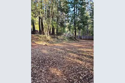 9246 La Porte Road, Brownsville, CA 95919 - Photo 14