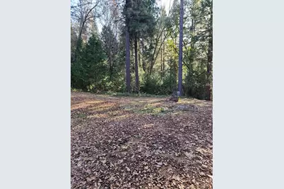 9246 La Porte Road, Brownsville, CA 95919 - Photo 12