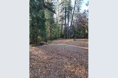 9246 La Porte Road, Brownsville, CA 95919 - Photo 2