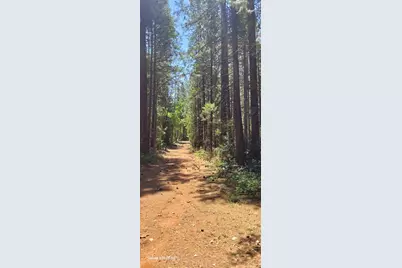 9246 La Porte Road, Brownsville, CA 95919 - Photo 16