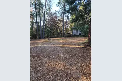 9246 La Porte Road, Brownsville, CA 95919 - Photo 10