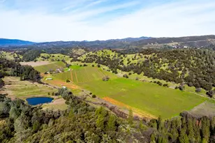 7449 Esmeralda Rd, San Andreas, CA 95249 - Photo 28