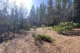 20194 Madrone Springs Rd, Nevada City, CA 95959 - Photo 28