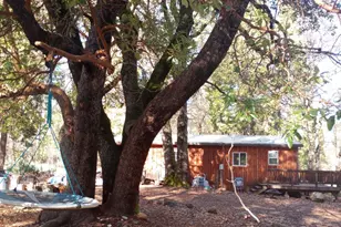 20194 Madrone Springs Rd, Nevada City, CA 95959 - Photo 20