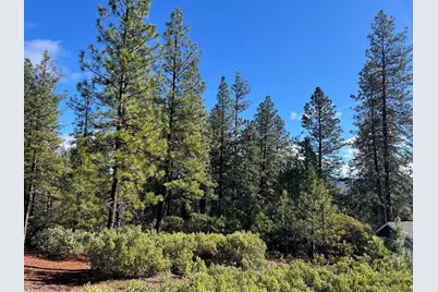 520 Lost Hill, Nevada City, CA 95959 - Photo 10