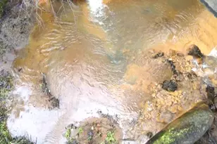 955 Grinding Rock Ct, West Point, CA 95255 - Photo 16