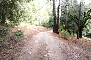 955 Grinding Rock Ct, West Point, CA 95255 - Photo 68