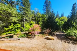 955 Grinding Rock Ct, West Point, CA 95255 - Photo 12