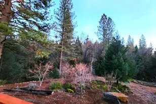 955 Grinding Rock Ct, West Point, CA 95255 - Photo 48