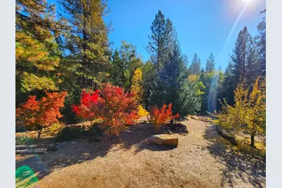 955 Grinding Rock Court, West Point, CA 95255 - Photo 6