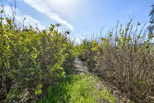 1498 O'Connor Way, San Luis Obispo, CA 93401 - Photo 8