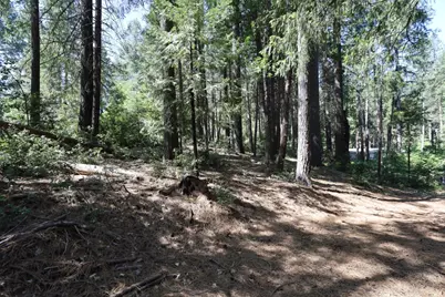 16779 Pasquale Road, Nevada City, CA 95959 - Photo 4
