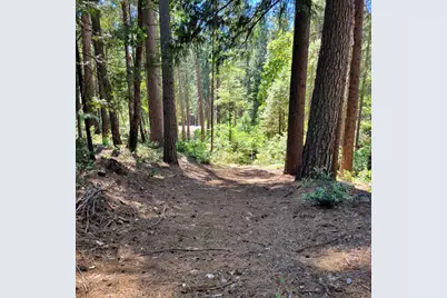 16779 Pasquale Road, Nevada City, CA 95959 - Photo 2