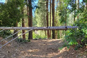 16779 Pasquale Rd, Nevada City, CA 95959 - Photo 1