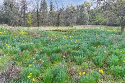 2500 N. View Lane, Placerville, CA 95667 - Photo 22