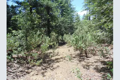 35 Balderson, Georgetown, CA 95634 - Photo 2