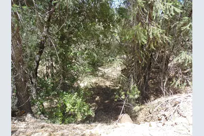 35 Balderson, Georgetown, CA 95634 - Photo 6