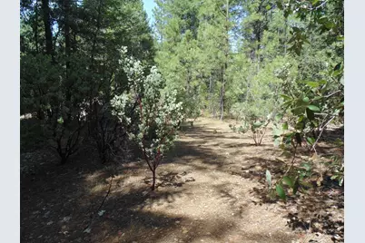 35 Balderson, Georgetown, CA 95634 - Photo 4