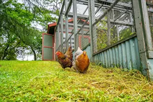 4130 Puzzlewood Ln, Auburn, CA 95602 - Photo 44