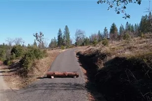 11126 Jordan Creek Rd, Coulterville, CA 95311 - Photo 1