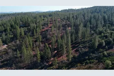 11126 Jordan Creek Road, Coulterville, CA 95311 - Photo 8