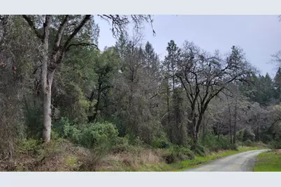 3291 Stage Trail Road, Greenwood, CA 95635 - Photo 1