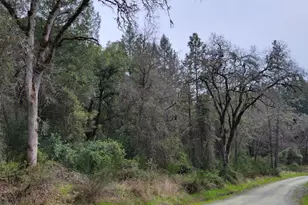 3291 Stage Trail Rd, Greenwood, CA 95635 - Photo 1