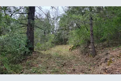 3291 Stage Trail Road, Greenwood, CA 95635 - Photo 4