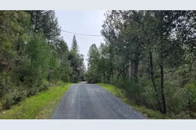 3291 Stage Trail Road, Greenwood, CA 95635 - Photo 2