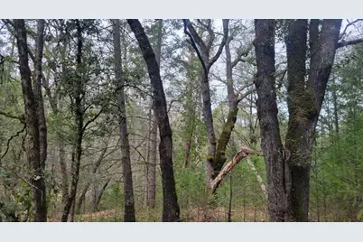 3291 Stage Trail Road, Greenwood, CA 95635 - Photo 20