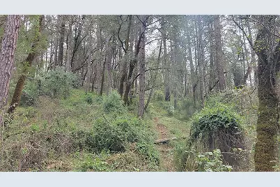 3291 Stage Trail Road, Greenwood, CA 95635 - Photo 10