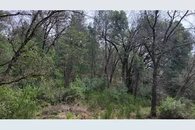 3291 Stage Trail Road, Greenwood, CA 95635 - Photo 18