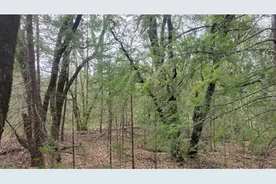 3291 Stage Trail Road, Greenwood, CA 95635 - Photo 8