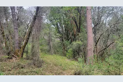 3291 Stage Trail Road, Greenwood, CA 95635 - Photo 6