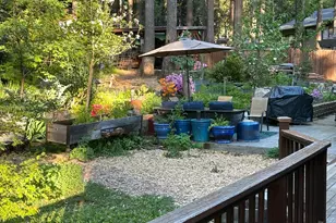 12716 Red Dog Rd, Nevada City, CA 95959 - Photo 44