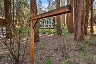12716 Red Dog Rd, Nevada City, CA 95959 - Photo 4