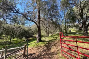 18907 Shake Ridge Rd, Sutter Creek, CA 95685 - Photo 1