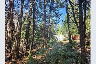 19344 Louis Road, Grass Valley, CA 95945 - Photo 54